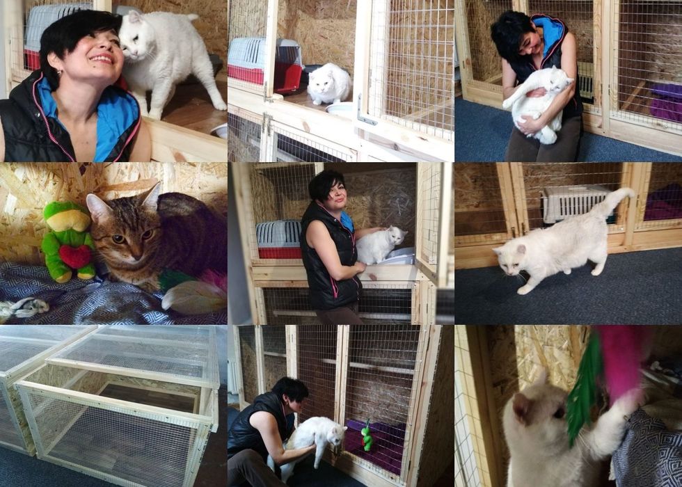 Фото зоогостиницы